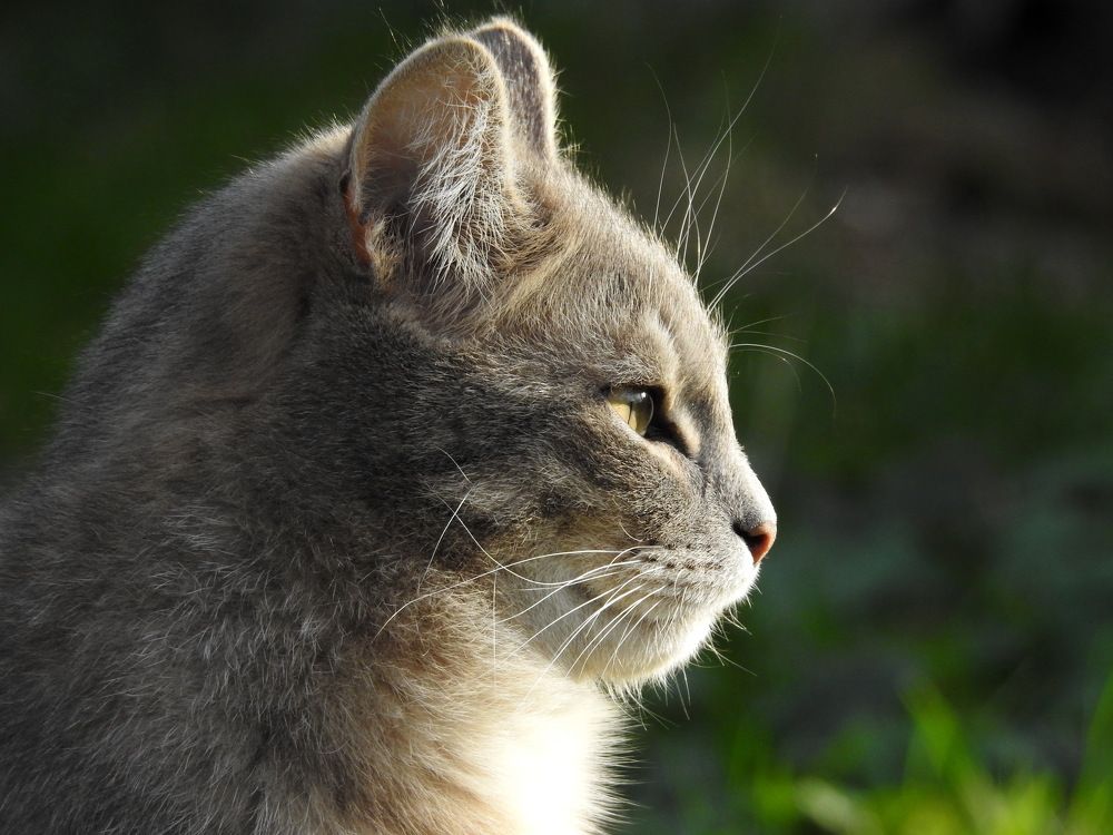 Photograph by Олеся Дейнеко