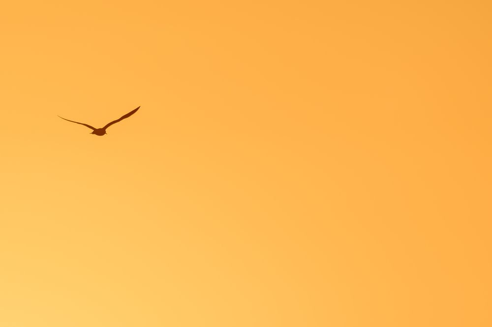 Photograph by Sergey Puponin