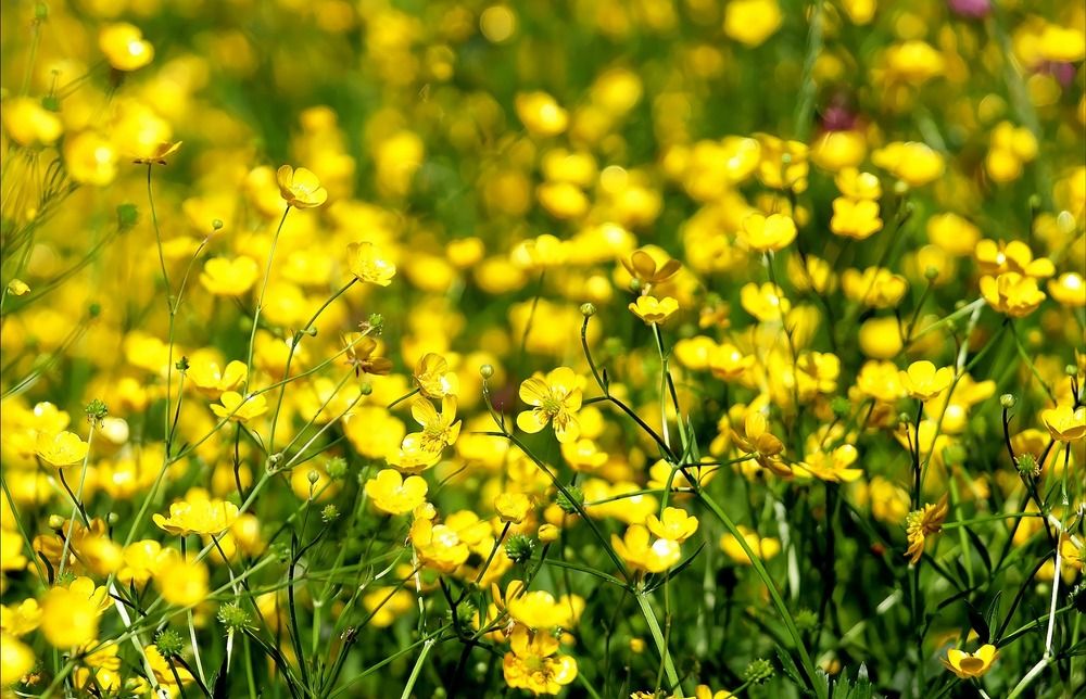 Photograph by Татьяна Слесарева