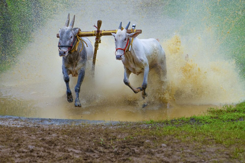 Photograph by zajohn mp