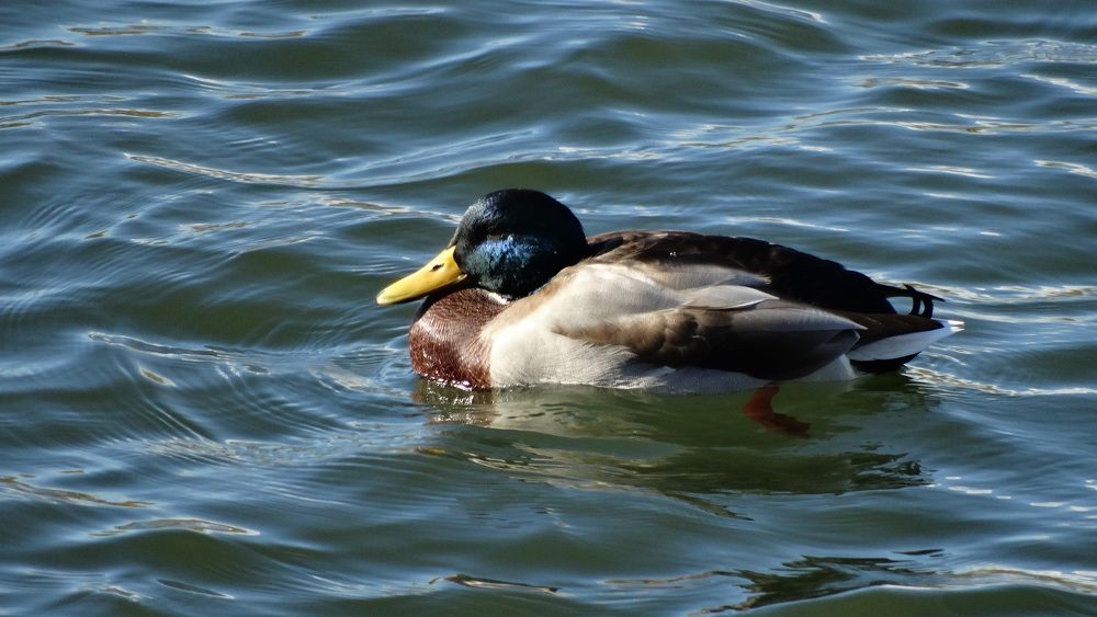 Photograph by Данил Фадеев