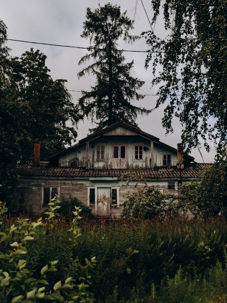 Photograph by Алиса Нежинская