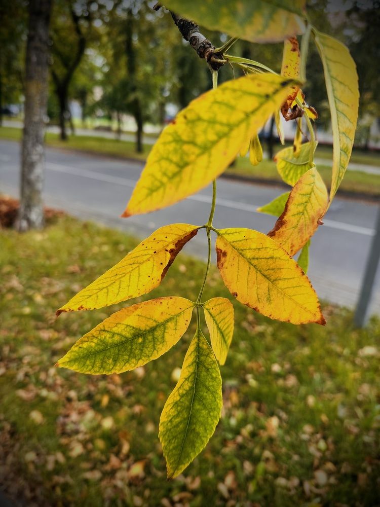 Photograph by Наумова Татьяна