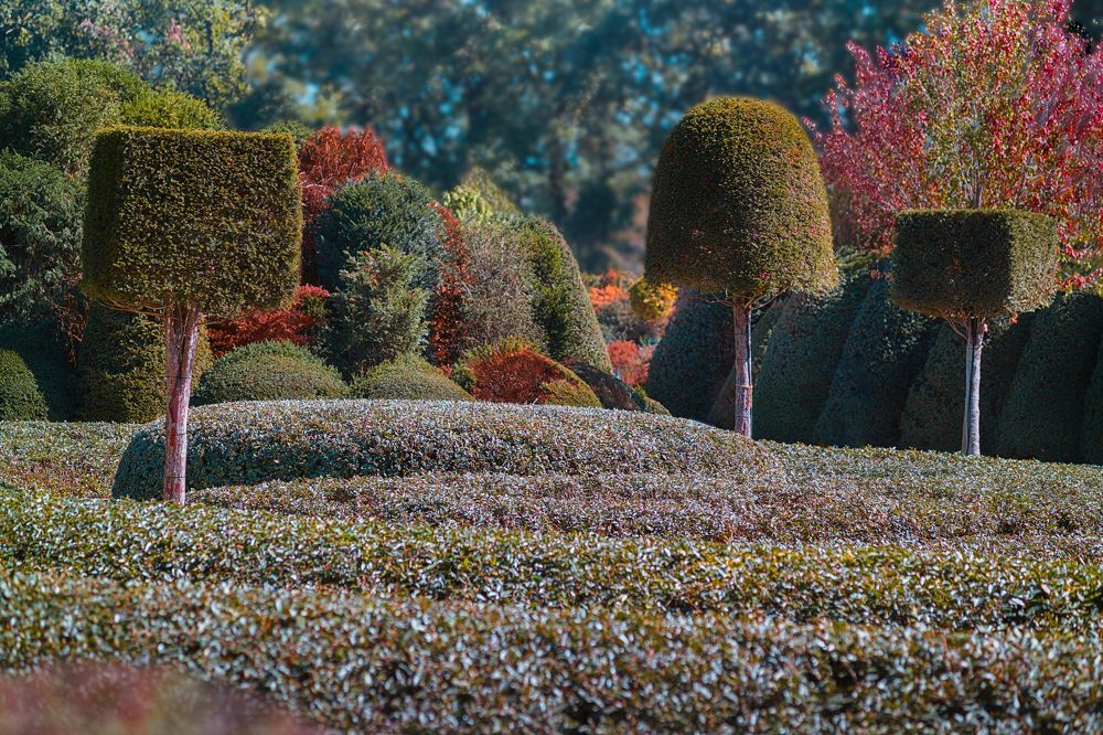 Photograph by Игорь Хижняк