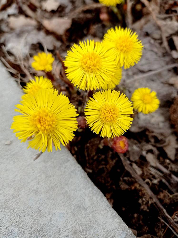 Photograph by НИНА АВЕРЬЯНОВА