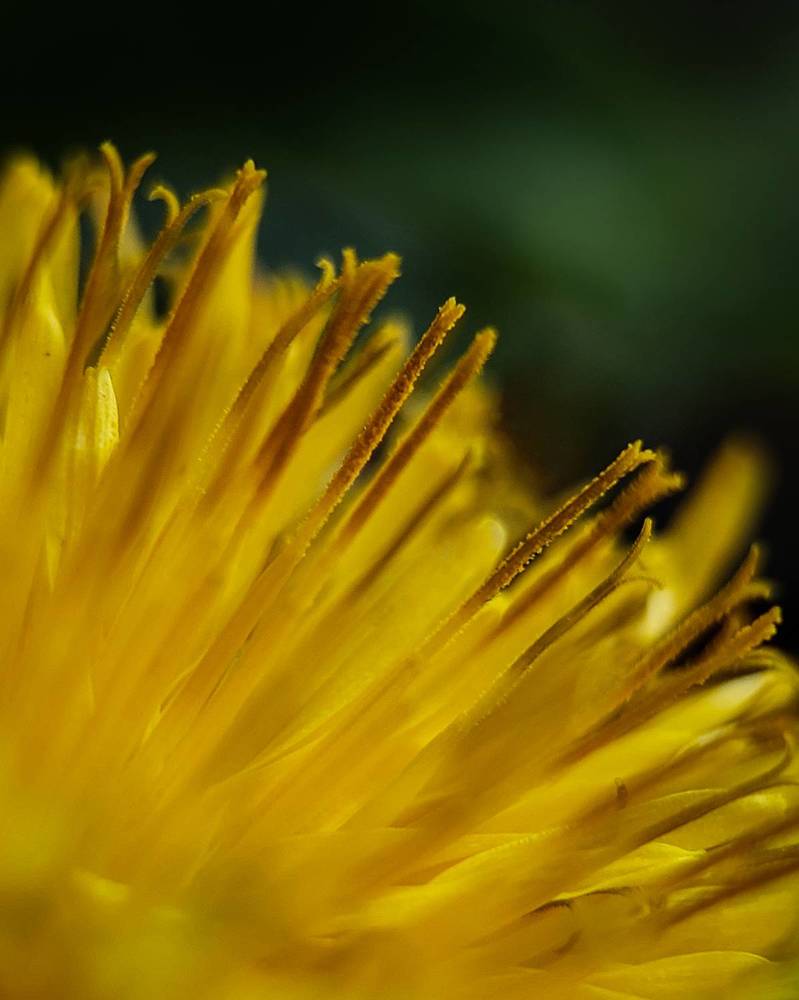 Photograph by Анна Чичилова