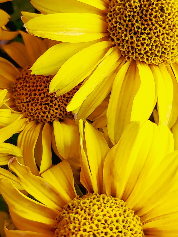 Photograph by Анна Чичилова