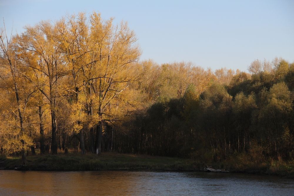 Диагональ света и тени /Diagonal of light and shadow