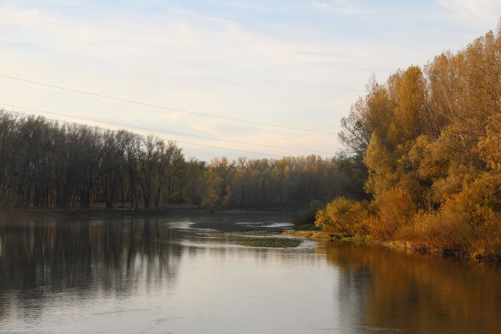 Две стороны/Two sides