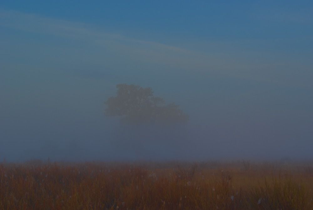 Photograph by Дмитрий Павлов