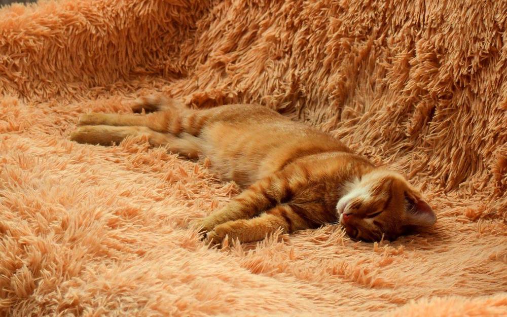 Photograph by Николай Абакумов