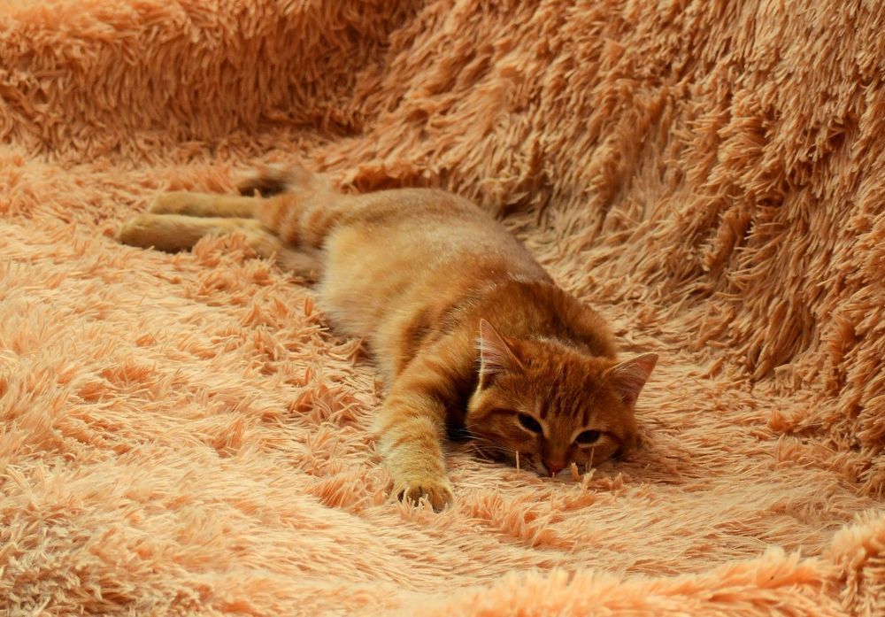 Photograph by Николай Абакумов