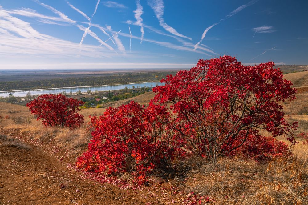 Photograph by Шишкалов Константин
