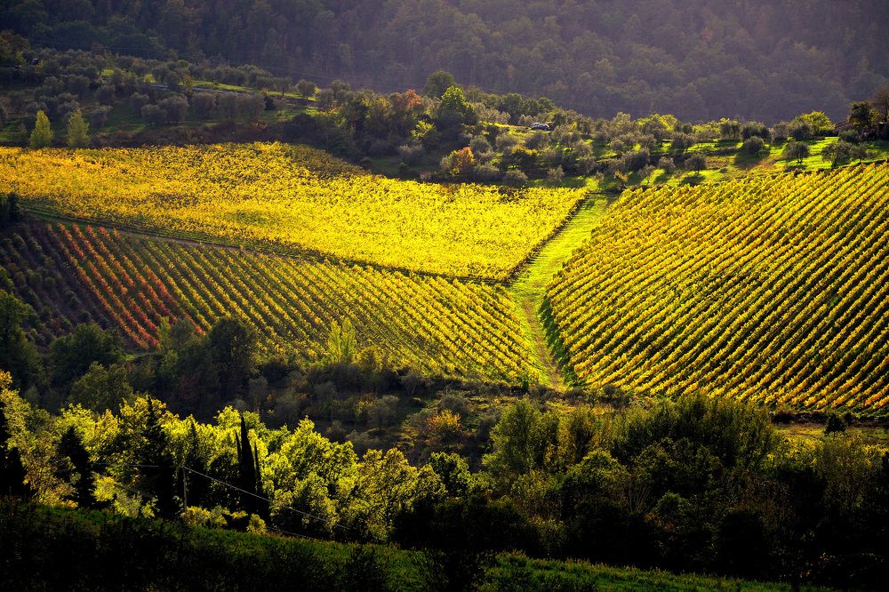 Photograph by Paolo Mola