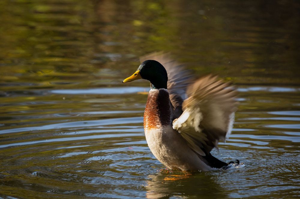 Photograph by Галина Сычева