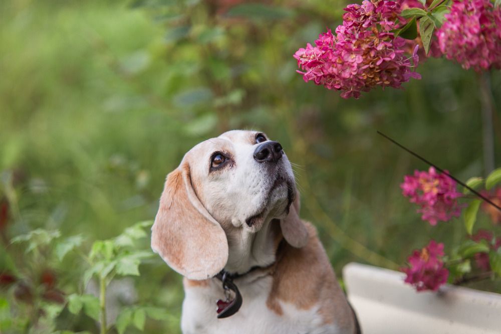 Photograph by Ольга