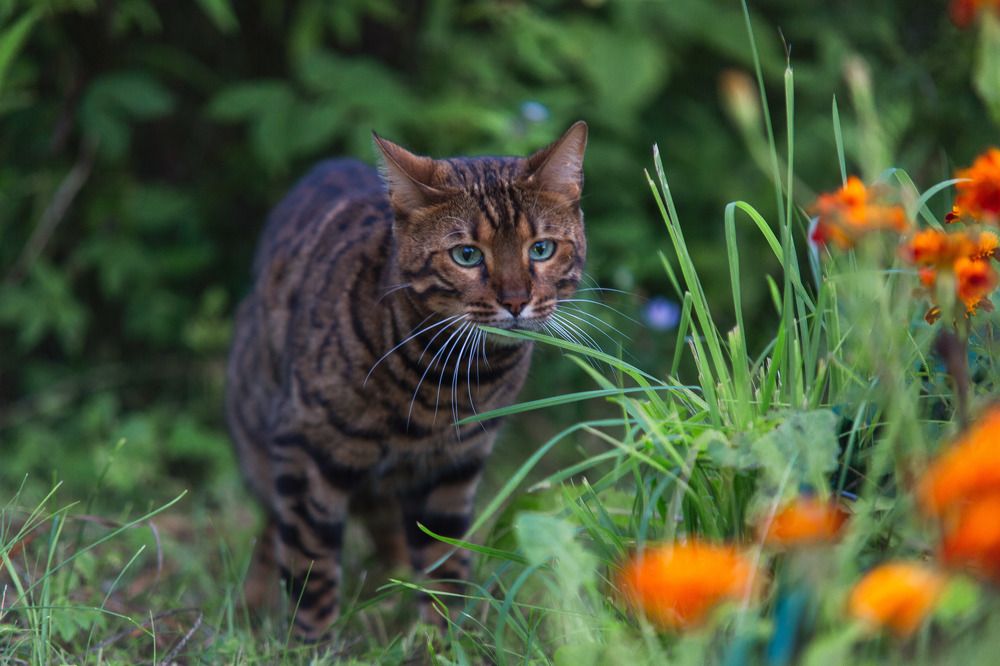 Photograph by Ольга