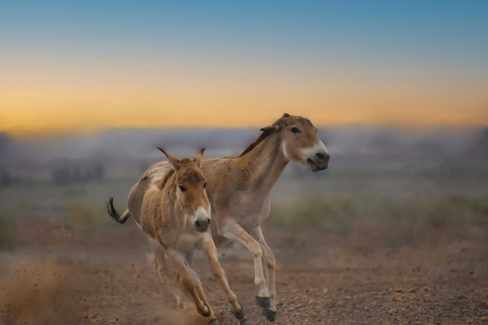 Photograph by Mostafa abyareh