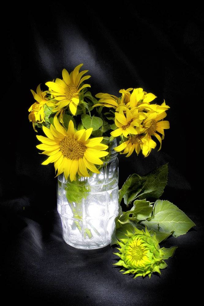 Photograph by Vitaliy Saposhnikov