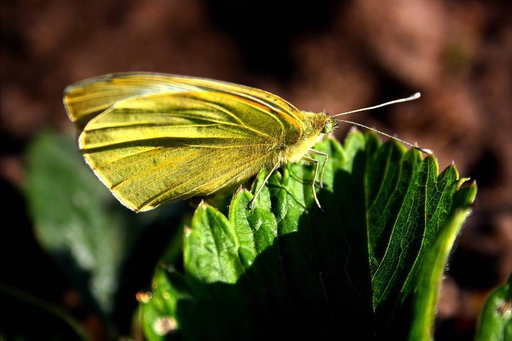 Photograph by Татьяна Слесарева