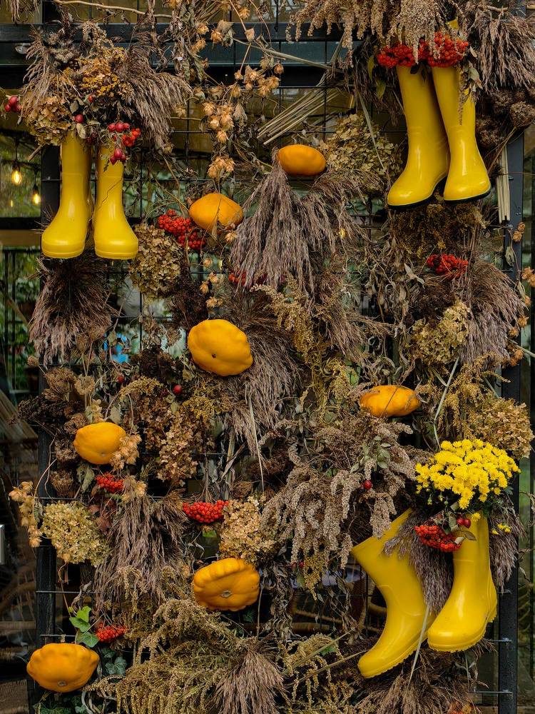 Фотография автора Ольга Панасюк