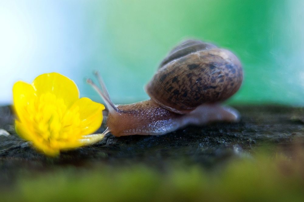 Photograph by Марина Тихонова