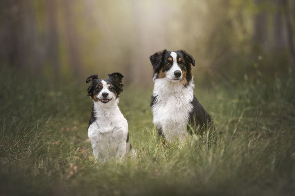 Photograph by Paula Casado Gutierrez