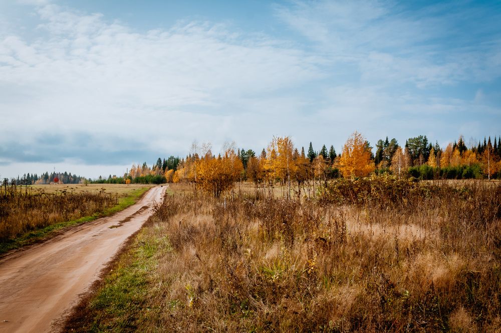 Photograph by Дмитрий Кузнецов