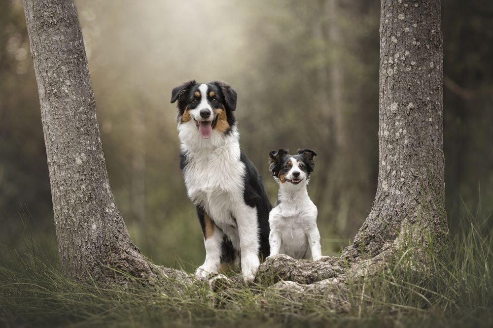 Photograph by Paula Casado Gutierrez