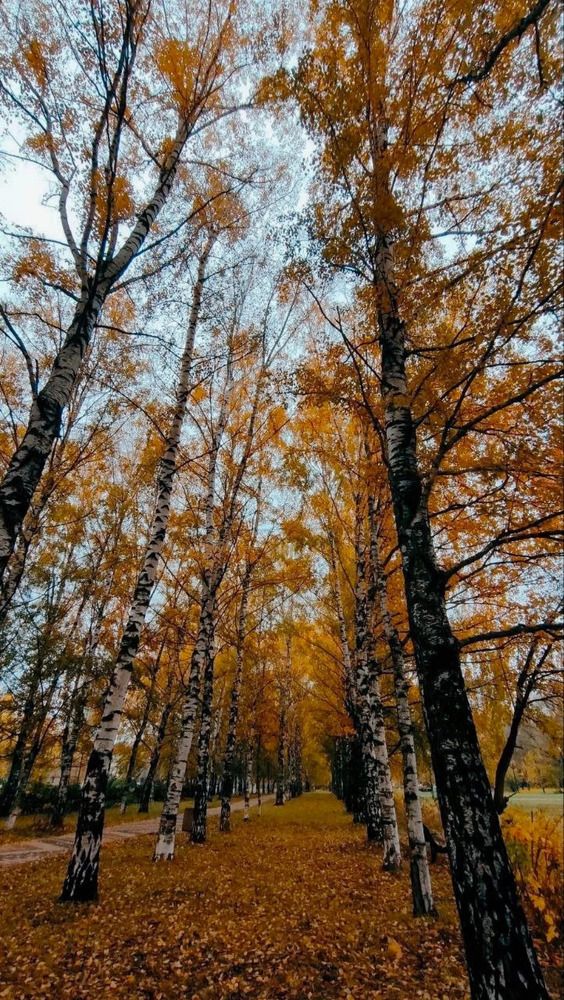 Photograph by Наталья