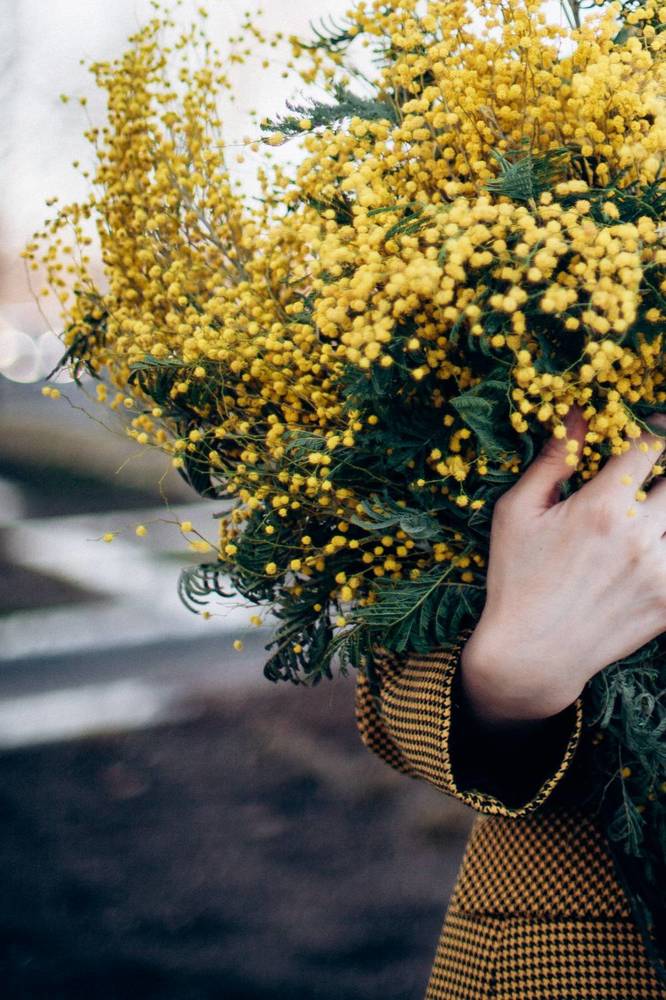 Photograph by Мария Корвин-Кучинская