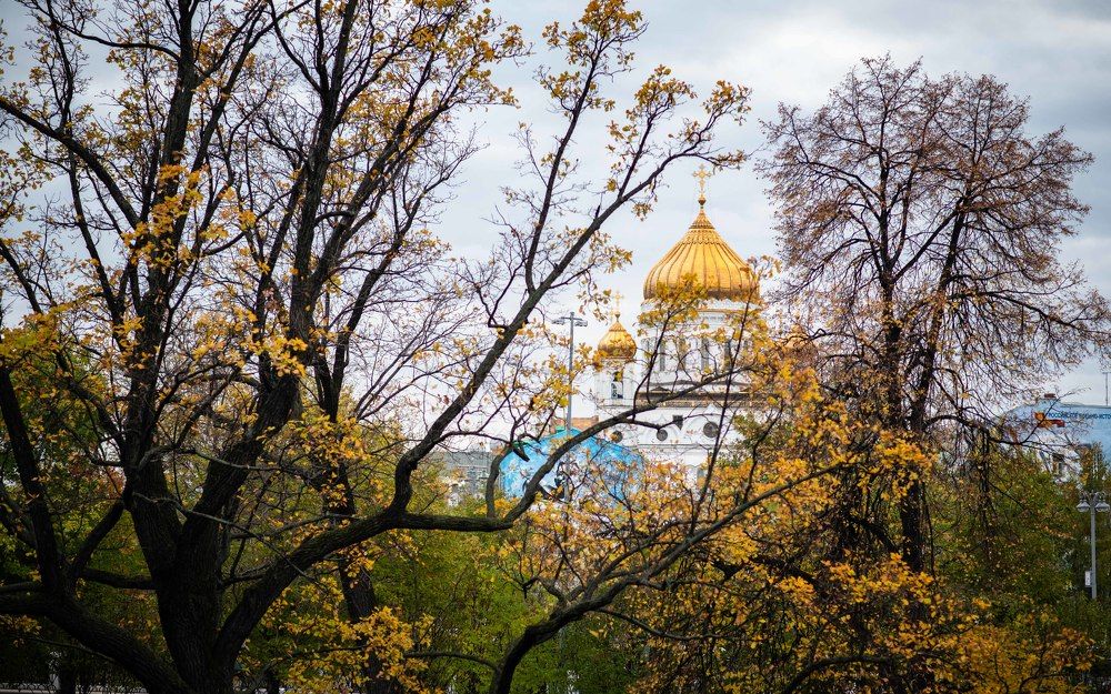 Фотография автора Dmitriy Sotnikov