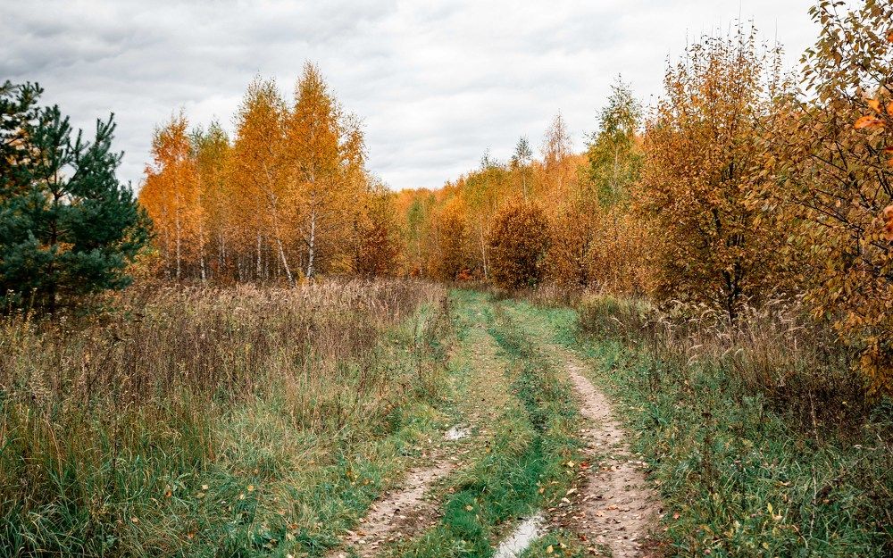 Фотография автора Dmitriy Sotnikov