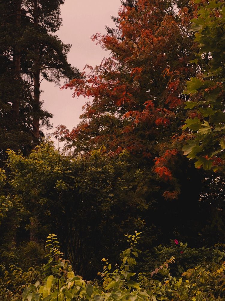 Photograph by Алиса Нежинская