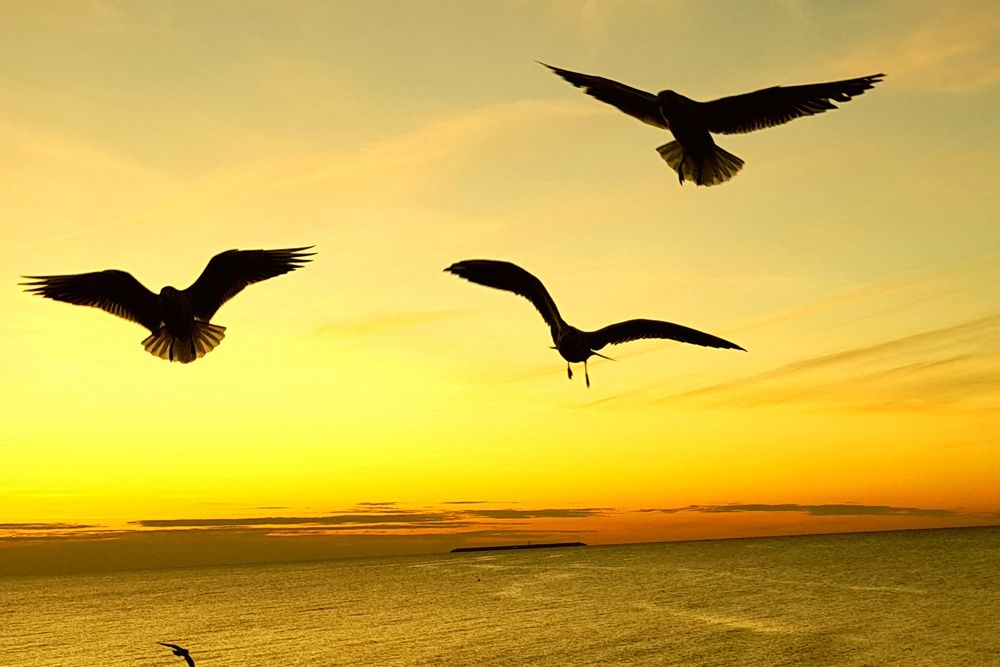 Photograph by Максим Иванов