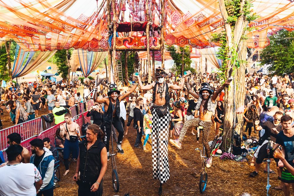 Фотография автора Ману Фалько