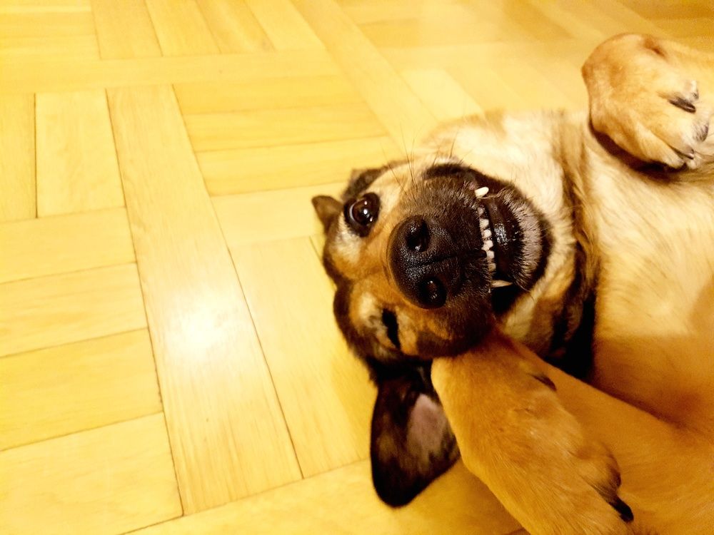 Photograph by Максим Иванов