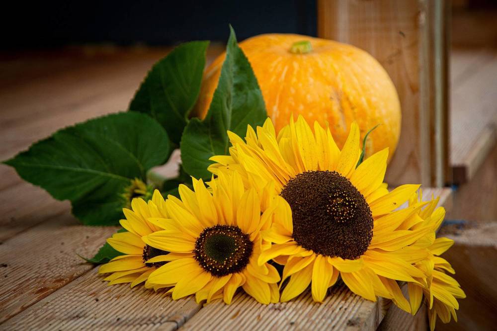 Photograph by Галина Сычева