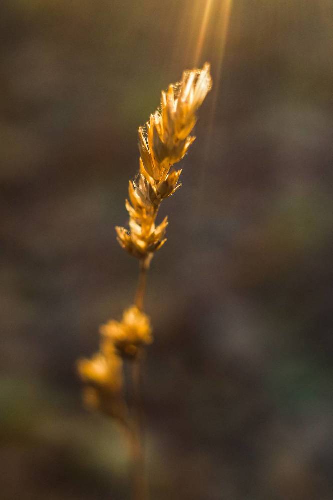 Photograph by Алла Никушкина