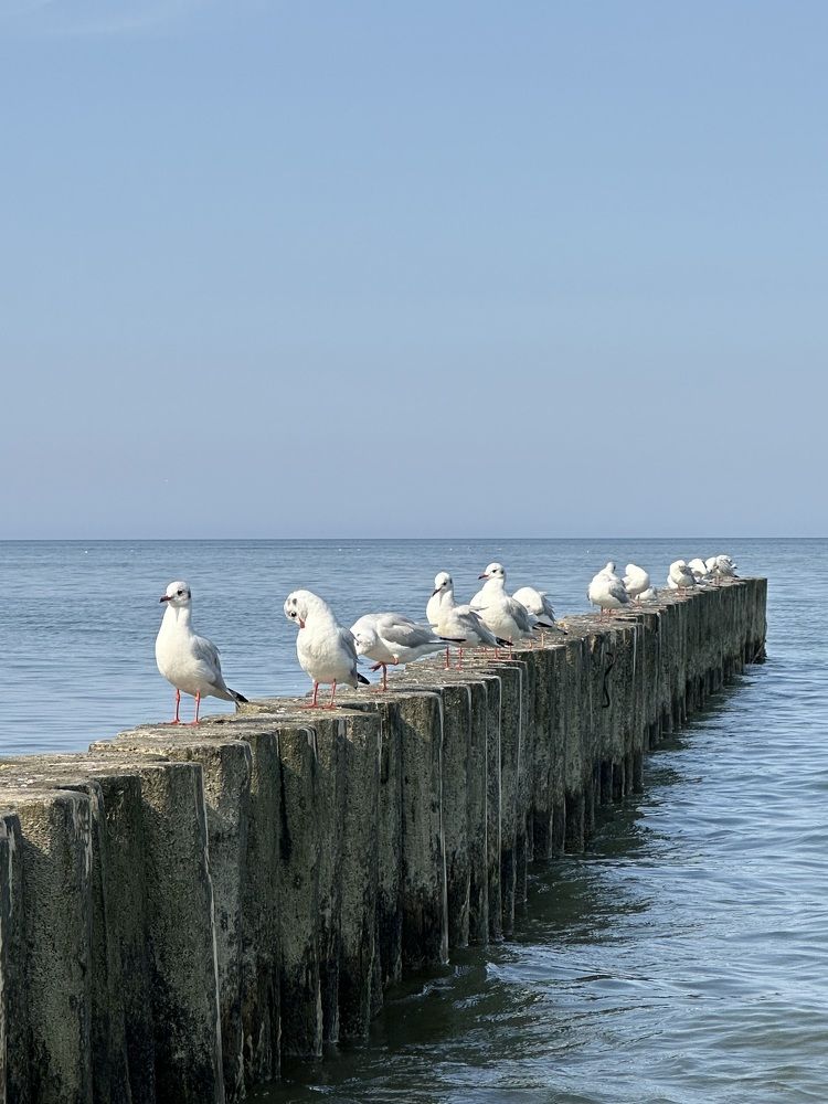 Photograph by Svetlana Tolkunova