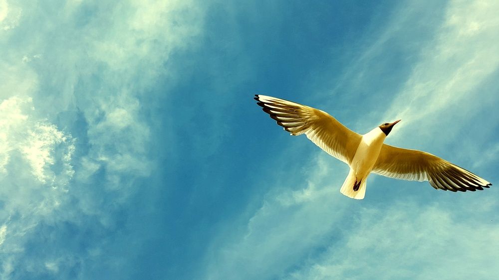 Photograph by Максим Иванов