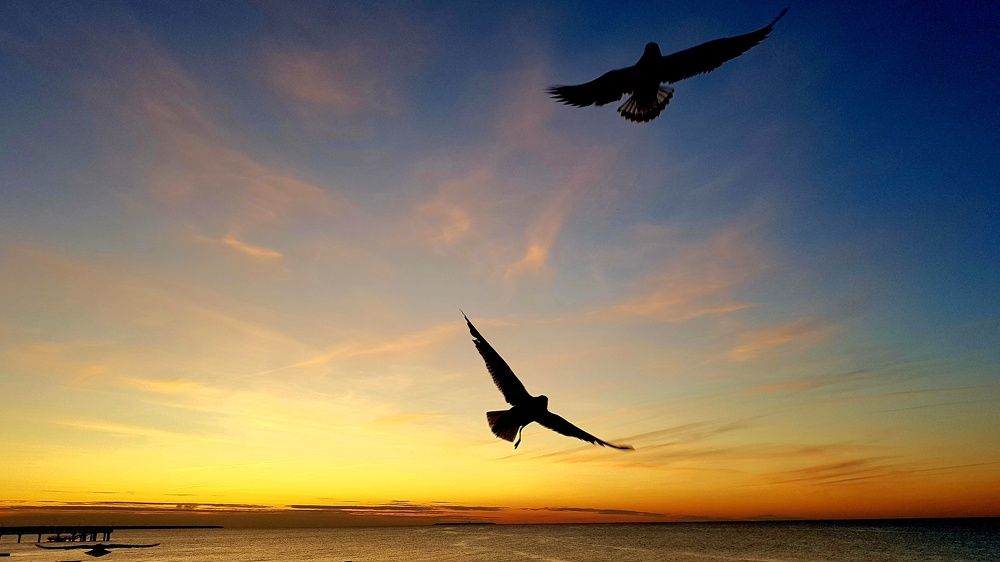 Photograph by Максим Иванов