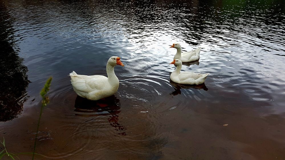 Photograph by Максим Иванов