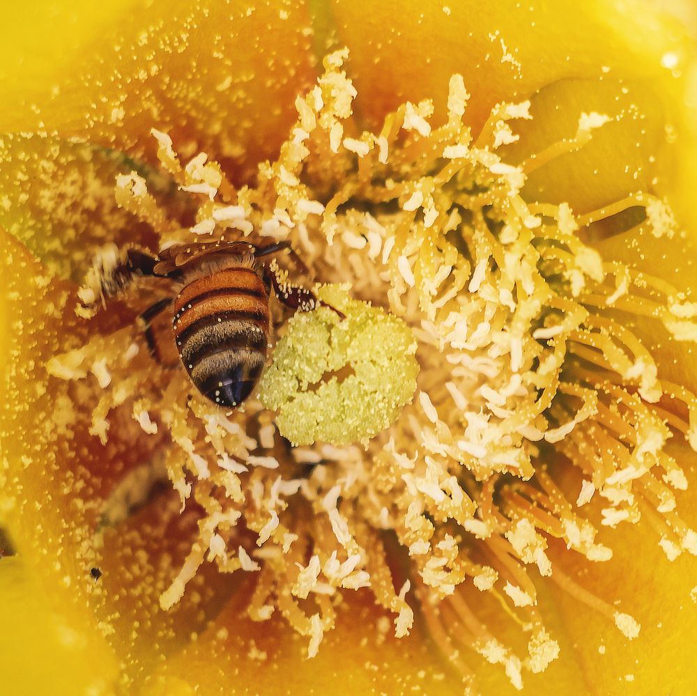 Photograph by Ali Abu Ras