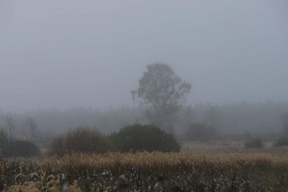Photograph by Алексей Егоров