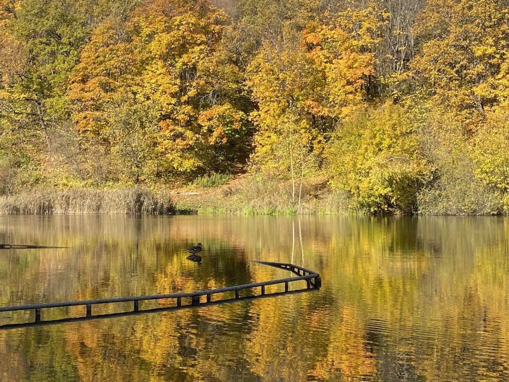 Photograph by Ольга Осинина