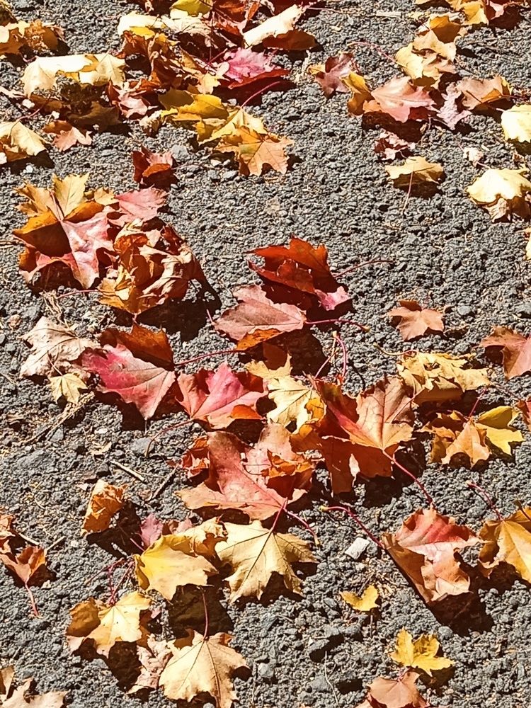 Photograph by Наталья Сырых