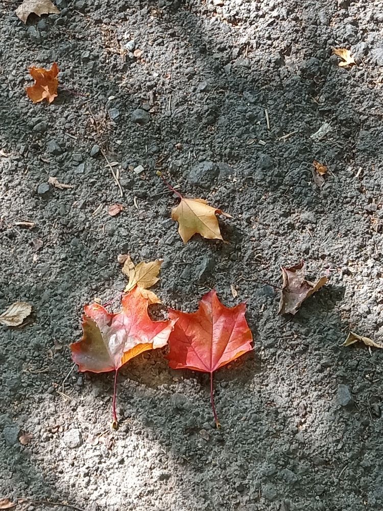 Photograph by Наталья Сырых