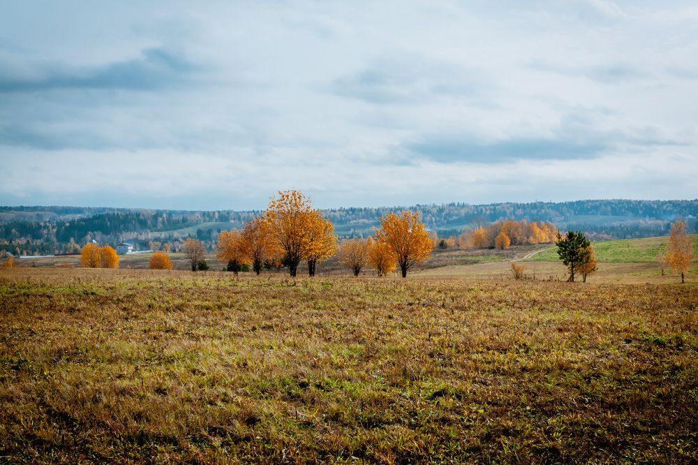 Photograph by Дмитрий Кузнецов