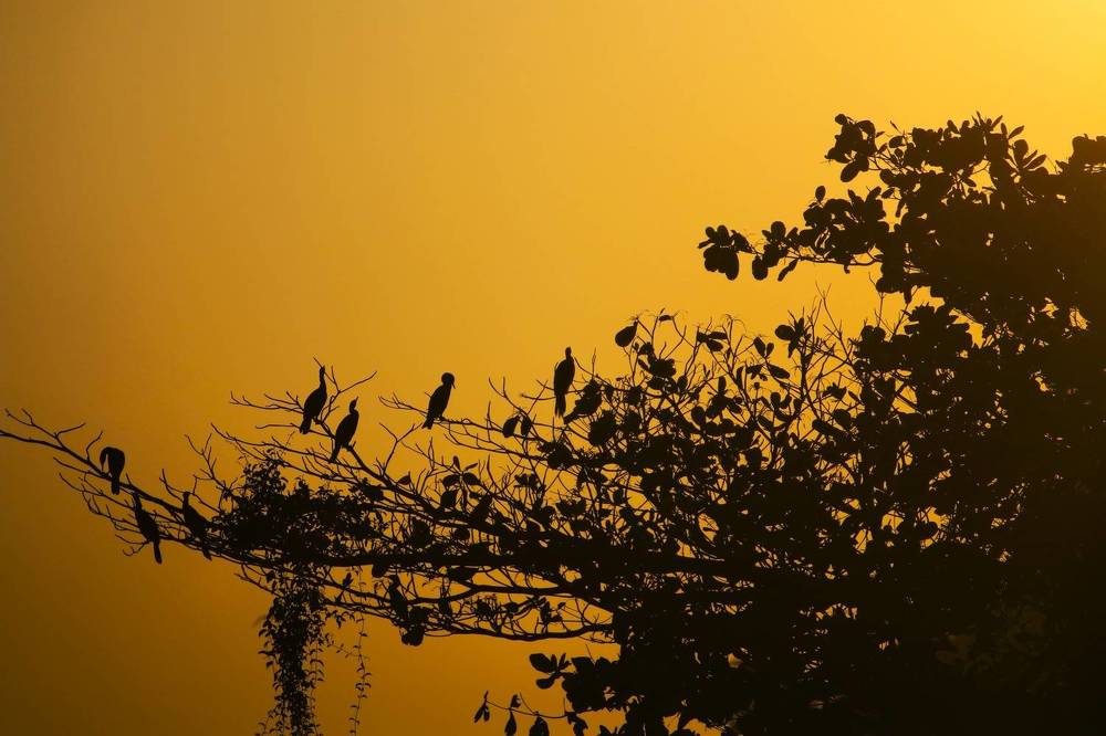 Photograph by Gr Marie